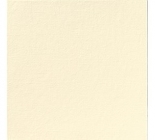 Dunilin pezsgő színű szalvéta, 48x48cm, 10x40 lap